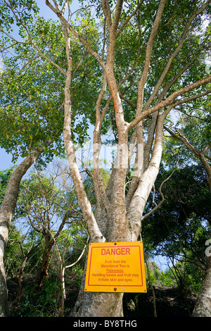 St Vincent And The Grenadines Caribbean Bequia Princess Margaret Beach Warning sign attached to poisonous Manchineel Tree Stock Photo