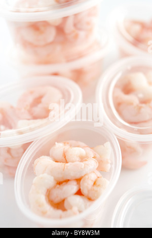 Peeled prawns in plastic containers Stock Photo