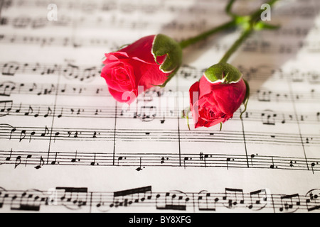 Pink roses on sheets of musical notes close up Stock Photo