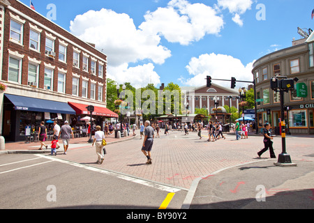 People crossing the street in Harvard Square, Cambridge, MA. Stock Photo