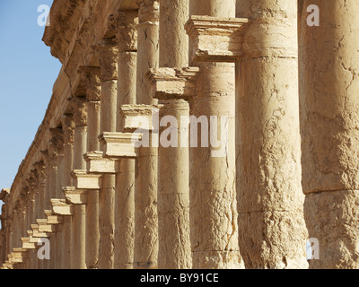 Columns on the Grand Colonnaded Street, Palmyra, Syria Stock Photo