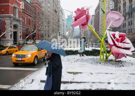 'Roses' by the artist Will Ryman is seen on a snowy Tuesday, January 25, 2011 installed on the Park Avenue medians in New York Stock Photo