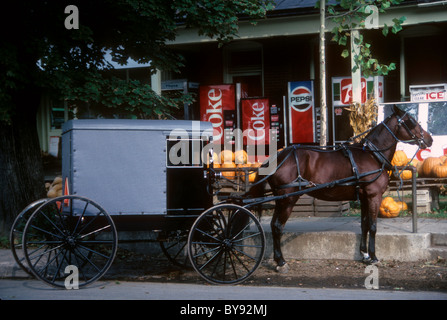 A horse and buggy is parked in front of a general store in the Amish country of Lancaster County in Pennsylvania Stock Photo