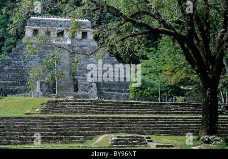 Mexico, Chiapas State : The Palenque Temple Of Inscriptions Stock Photo