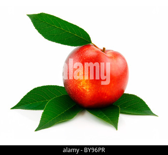 Ripe Peach (Nectarine) with Green Leafs Isolated on White Stock Photo