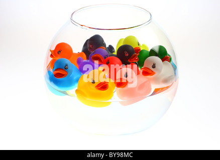 Bowl of ducks Stock Photo: 310053361 - Alamy