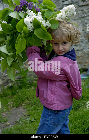 France four years old girl holding a bouquet of lilac Stock Photo