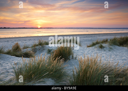 Evening light over the sand dunes at East Head. A sand and shingle spit located at the entrance to Chichester Harbour Stock Photo