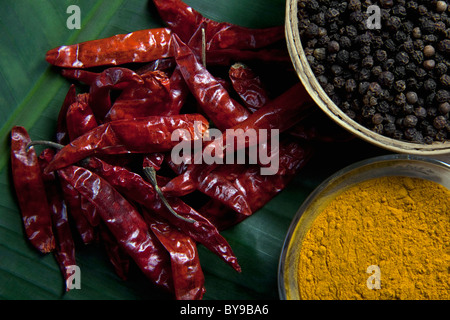 High angle view of spices Stock Photo