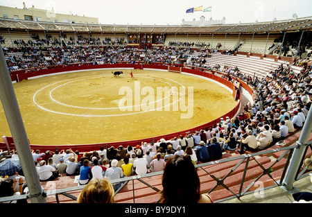 Bullfight in the arena of Sanlúcar de Barrameda as seen from the grandstand, Costa de la Luz, Andalusia, Spain, Europe Stock Photo