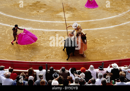 Picador pushing lance into the neck of a bull, bullfighter with a red cloth, bullfighting arena in Sanlúcar de Barrameda Stock Photo