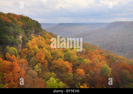 View from Laurel Gulf Overlook, Stone Door Trail, Savage Gulf State Natural Area, Beersheba Springs, Tennessee, USA Stock Photo