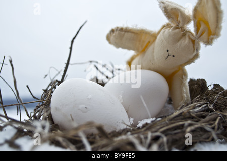Stuffed Rabbit Hovering Over Two Eggs in a Nest Stock Photo