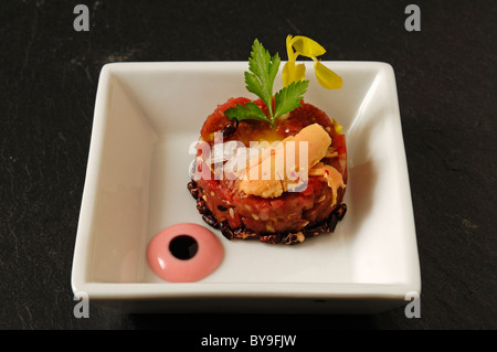 Tartare of raw beef with foie gras, Maldon sea salt and popcorn, food, haute cuisine Stock Photo