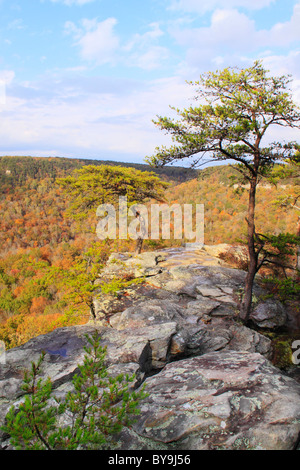 Buzzards Roost, Gorge Scenic Drive, Fall Creek Falls State Resort Park 