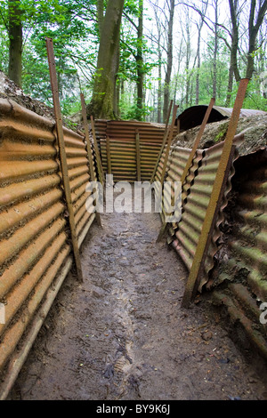 Corrugated iron trenches from the First World War at Sanctuary Wood Hill 62 near Ypres Stock Photo