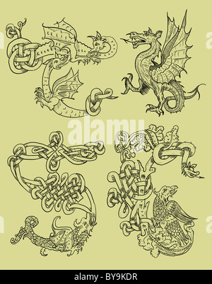 Dragons inicials illustration Stock Photo