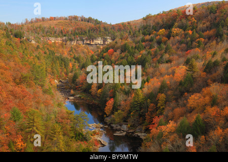 Obed Wild and Scenic River, Lilly Bluffs Overlook, Wartburg, Tennessee, USA Stock Photo