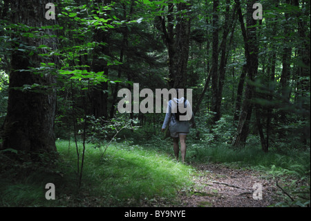 Hiking rails run through the spruce-fir forests of Balsam Mountain, Smoky Mountain National Park,  North Carolina. Stock Photo