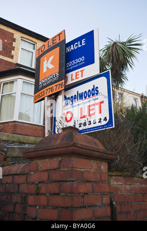 Multiple TO LET signs outside house in Newport South Wales UK Stock Photo