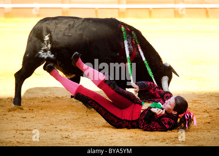 Female Torero or torera, matador with bull, Plaza de Toros de la Maestranza bull ring, Seville, Andalusia, Spain, Europe Stock Photo