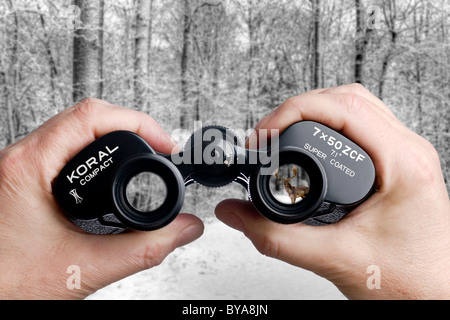 Looking through binoculars toward a deer in the forest Stock Photo