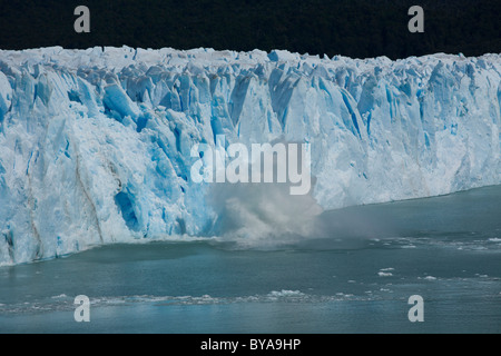Perito Moreno Glacier calving into Lago Argentino, Parque Nacional Los Glaciares, Los Glaciares National Park, Patagonia Stock Photo