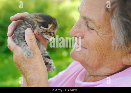 Senior woman holding little kitten Stock Photo