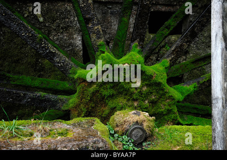 Detail, old mossy water wheel of a grist mill, in operation 1916-1952, Heroldsmuehle, Heiligenstadt, Upper Franconia, Bavaria Stock Photo