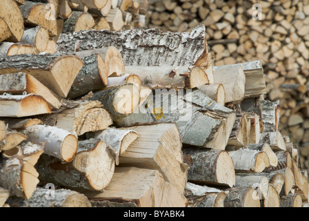 A stack of logs, Sweden Stock Photo