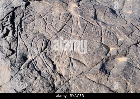 Prehistoric rock engraving of a gazelle, neolithic rock art of Tinterhert, Dider Valley, Tassili n'Ajjer National Park Stock Photo