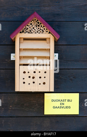 Bee house and green lacewing (Chrysopidae) nesting box, Belgium Stock Photo