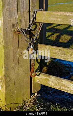 Access to a farmers field locked with padlock and chain chains attached to wooden farm gate close up North Yorkshire England UK Britain Stock Photo