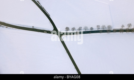 Aerial view, street intersection, Surkenstrasse, Haarstrasse, Stiepel, Bochum, Ruhrgebiet region, North Rhine-Westphalia Stock Photo