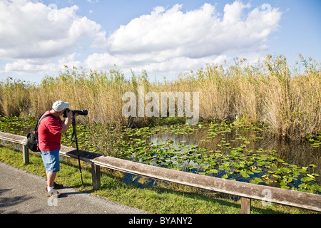 Anhinga Trail leads visitors from the Royal Palm activity center into a wildlife wonderland at Everglades National Park, FL, USA Stock Photo