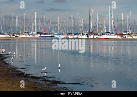 Marina of the Royal Brighton Yacht Club on Port Phillip Bay, Melbourne Stock Photo