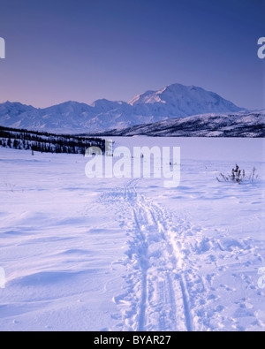 Mount McKinley, Mt. McKinley, Wonder lake, Sunrise. Winter, Dog Sled Tracks in Snow, Denali National Park, Alaska Stock Photo