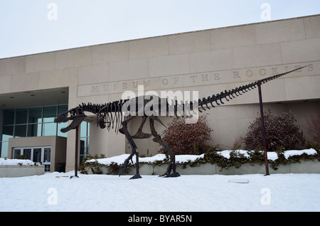 A Tyrannosaurus skeleton in front of Museum of Rockies. Bozeman, Montana, USA. Stock Photo