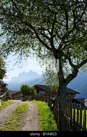 Near St. Jakob, Villnoesstal, Alto Adige, Italy, Europe Stock Photo