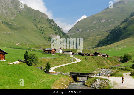 Fanealm, Fane Alm, Vals Valley, Puster Valley, Pfunderer Mountains, Alto Adige, Italy, Europe