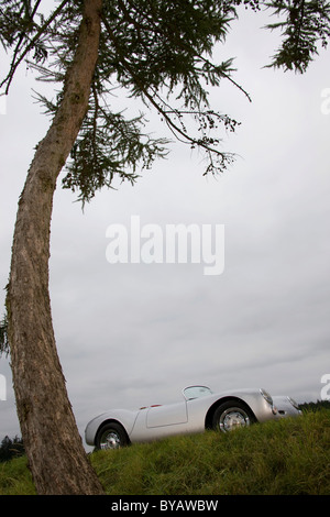 Vintage car under a tree, white Porsche Spyder Stock Photo