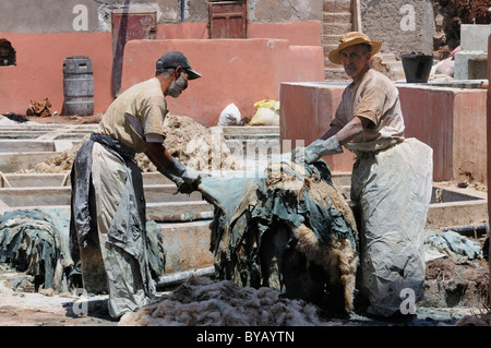 Workers tanning leather in the old tanners' souq, district of the tanners, Marrakech, Morocco, Africa Stock Photo