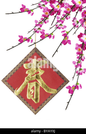 Chinese new year ornament and cherry blossoms on white background Stock Photo