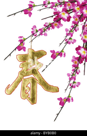 Chinese New Year calligraphy ornament and plum blossoms on white background Stock Photo