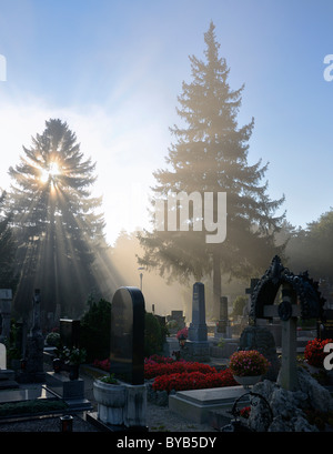 Cemetery in the morning mist, Berndorf, Triestingtal, Lower Austria, Austria, Europe Stock Photo