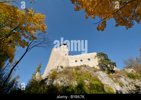 Araburg castle ruin, Kaumberg mountain, Triestingtal valley, Lower Austria, Austria, Europe Stock Photo