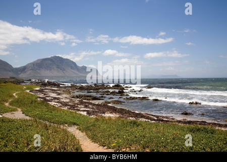 Bettys Bay in Western cape - South Africa Stock Photo