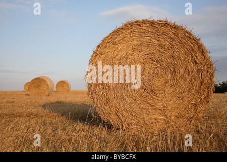 Bales of straw on a wheat stubble field against a blue and purple late afternoon sky, Denmark. Stock Photo