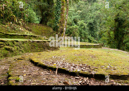 Ciudad perdida, lost city, in Colombia Sierra Nevada de Santa Marta NP Stock Photo