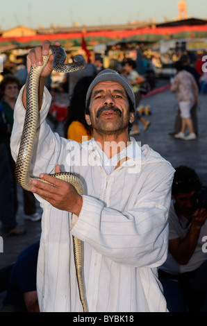 Snake charmer holding up a poisonous serpent in Place Djemaa el Fna square souk in Marrakech Morocco Stock Photo